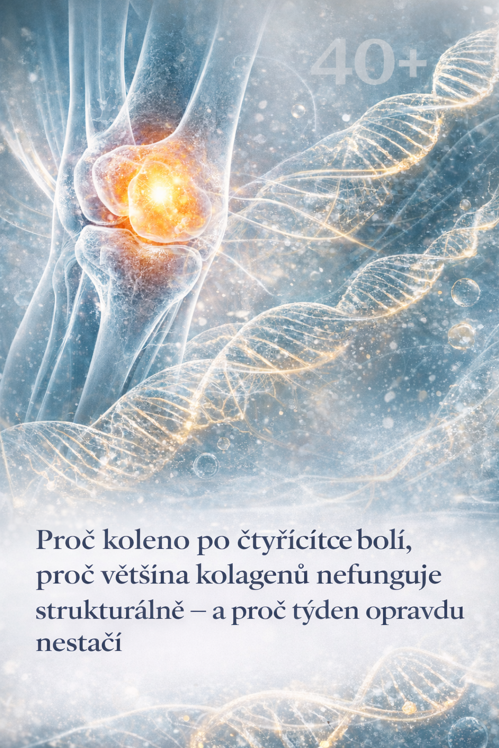 Proč koleno po čtyřicítce bolí, proč většina kolagenů nefunguje strukturálně – a proč týden opravdu nestačí